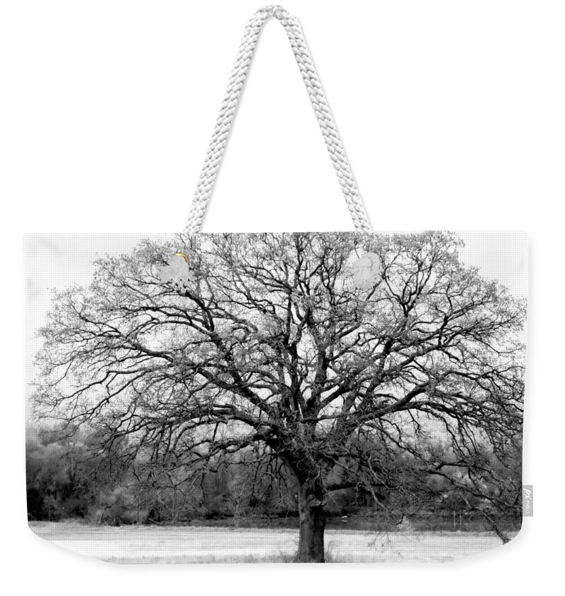 Tree Weekender Tote Bag featuring the photograph The Living Tree by Deborah Crew-Johnson