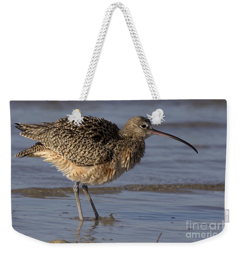 Long-billed Curlew Weekender Tote Bag featuring the photograph The Long-billed Curlew Shake by Meg Rousher