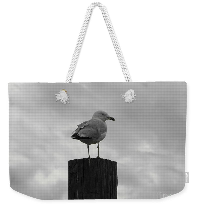 Seagull Weekender Tote Bag featuring the photograph The Lookout by Michael Krek