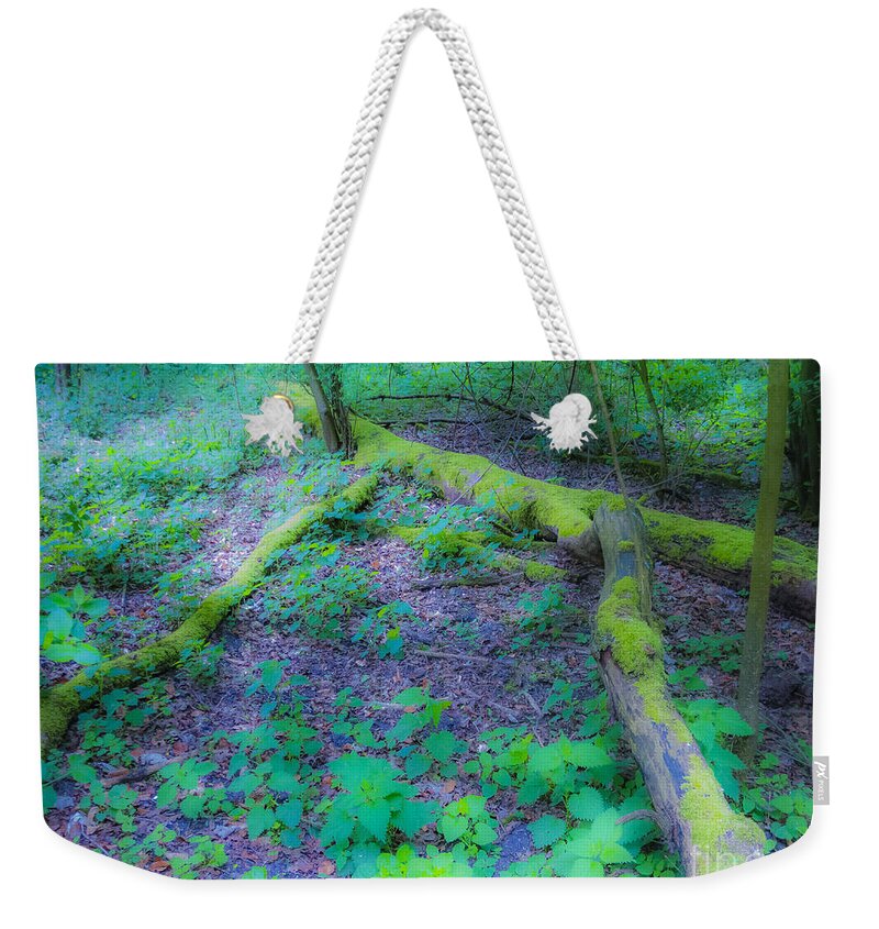 The Magic Forest Weekender Tote Bag featuring the photograph The Magic Forest-12 by Casper Cammeraat