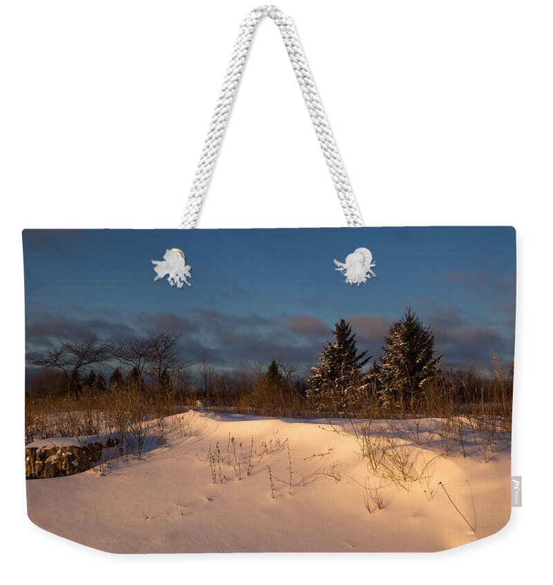 Snow Weekender Tote Bag featuring the photograph The Morning After the Snowstorm by Georgia Mizuleva
