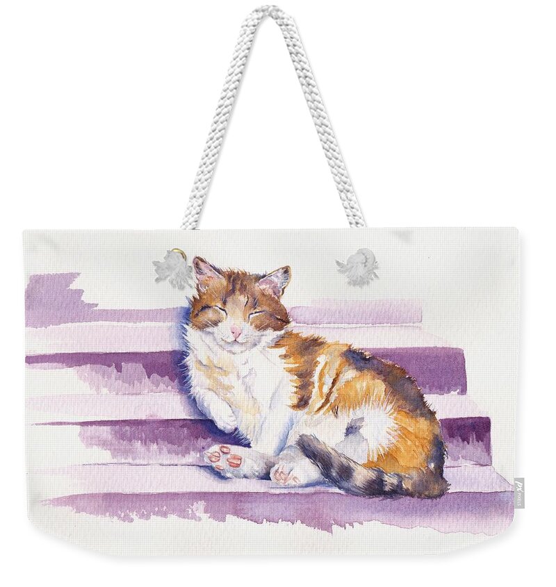 Cat Weekender Tote Bag featuring the painting The Naughty Step - Snoozing Cat by Debra Hall