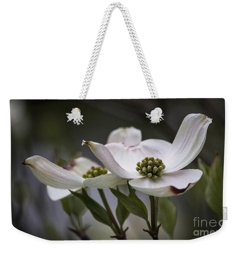 Dogwood Weekender Tote Bag featuring the photograph The Offering by Arlene Carmel