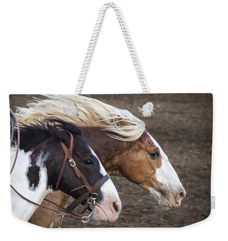 Horses Weekender Tote Bag featuring the photograph The Outlaw And The Law by Caitlyn Grasso