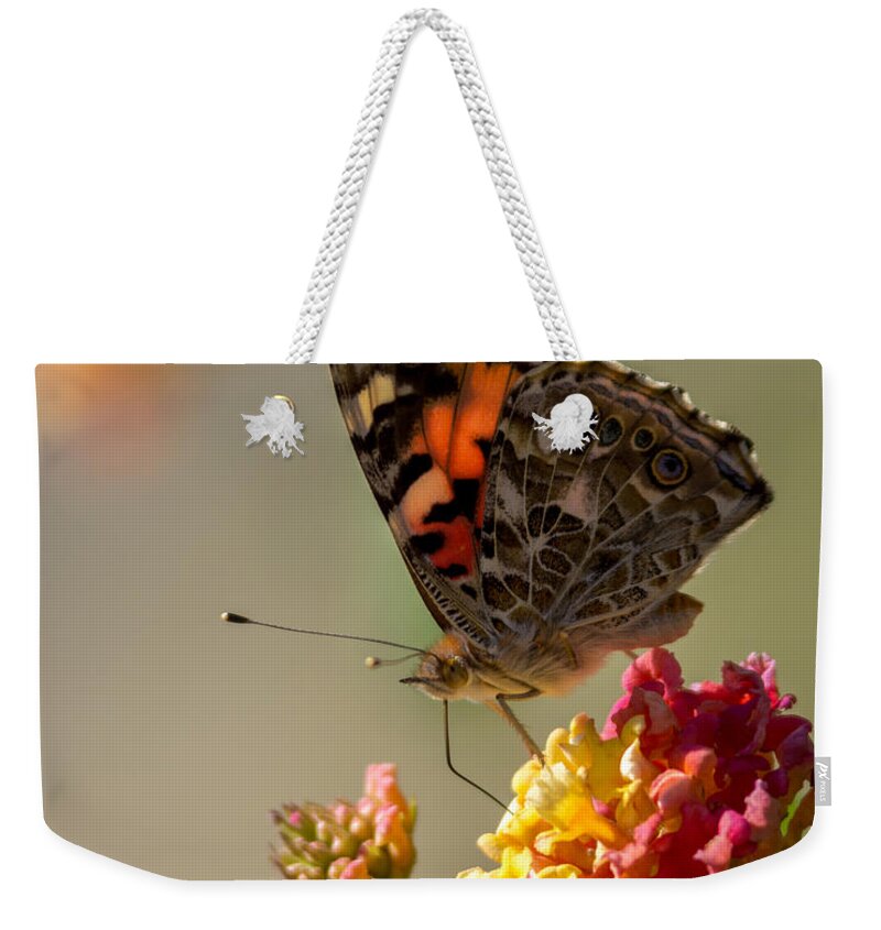 The Painted Lady Weekender Tote Bag featuring the photograph The Painted Lady by Ernest Echols