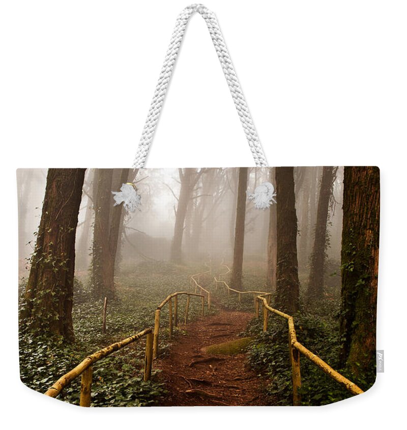 Nature Weekender Tote Bag featuring the photograph The pathway by Jorge Maia