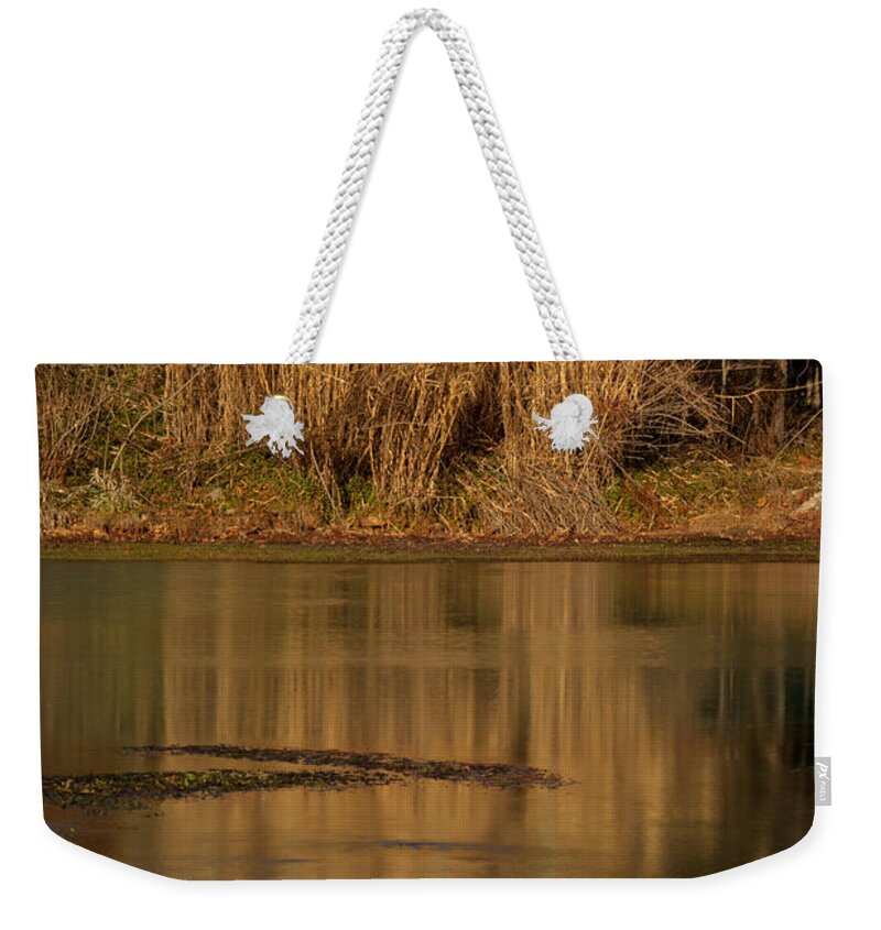 Member Weekender Tote Bag featuring the photograph The Peace of Mammoth Spring by Douglas Barnett
