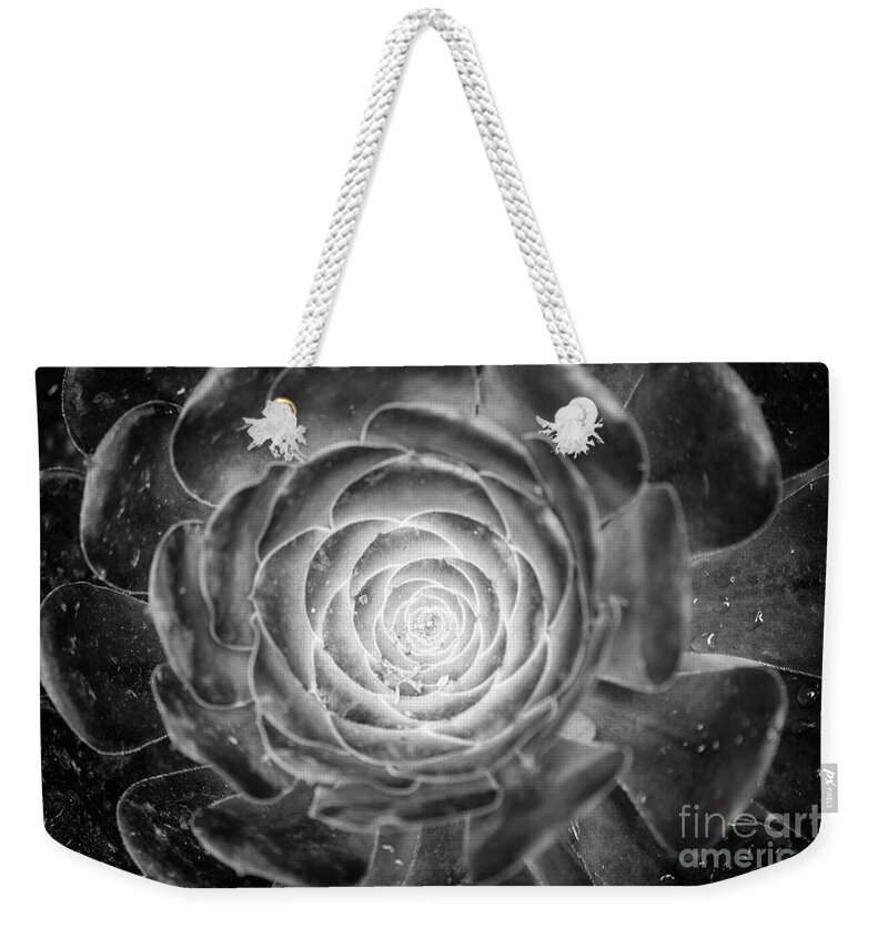 Close Up Weekender Tote Bag featuring the photograph The Portal by Jennifer Magallon