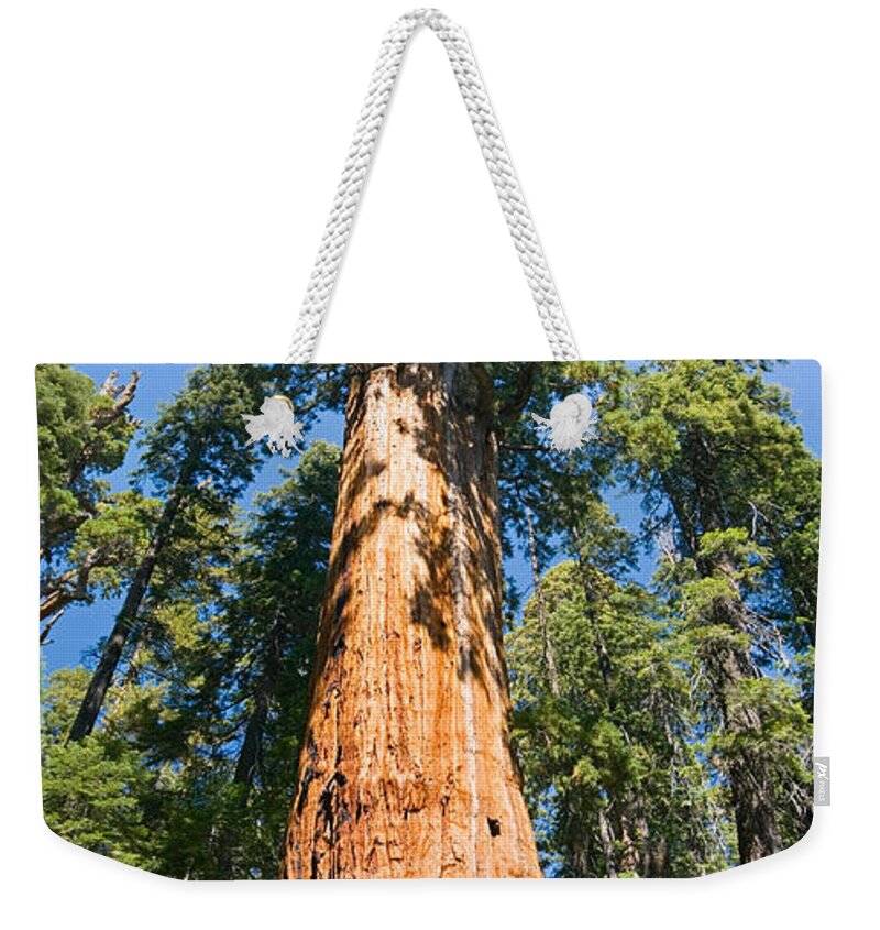 Sequoia Weekender Tote Bag featuring the photograph The President - Very large and old Sequoia Tree at Sequoia National Park. by Jamie Pham