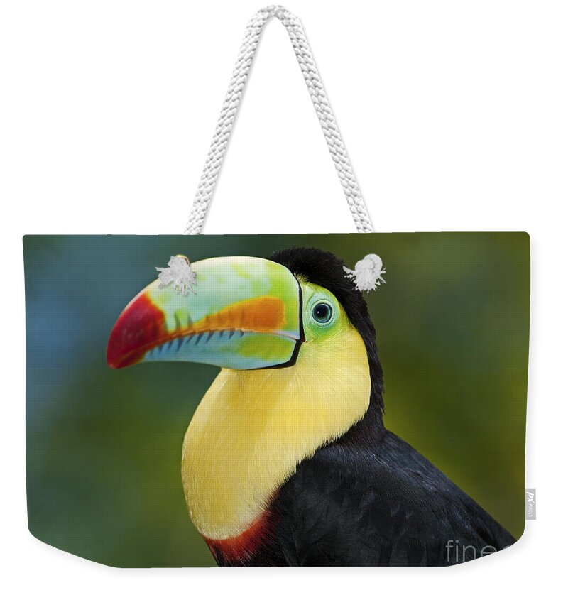 Festblues Weekender Tote Bag featuring the photograph The Rainbow Bird.. by Nina Stavlund