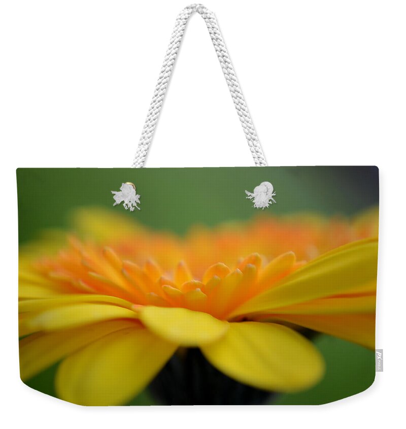 Flower Weekender Tote Bag featuring the photograph The Right Path by Melanie Moraga