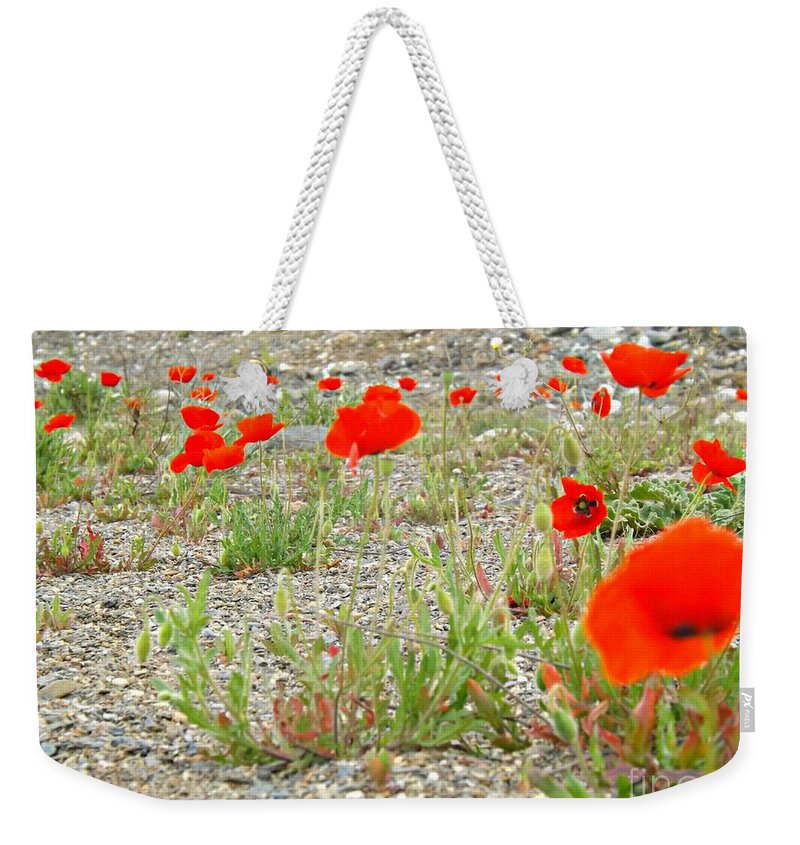 Poppy Weekender Tote Bag featuring the photograph The Riverbed glows Red by Clare Bevan