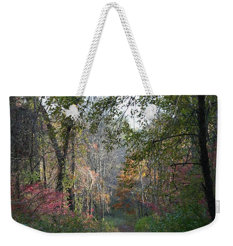 Autumn Weekender Tote Bag featuring the photograph The Road Ahead No.2 by Neal Eslinger