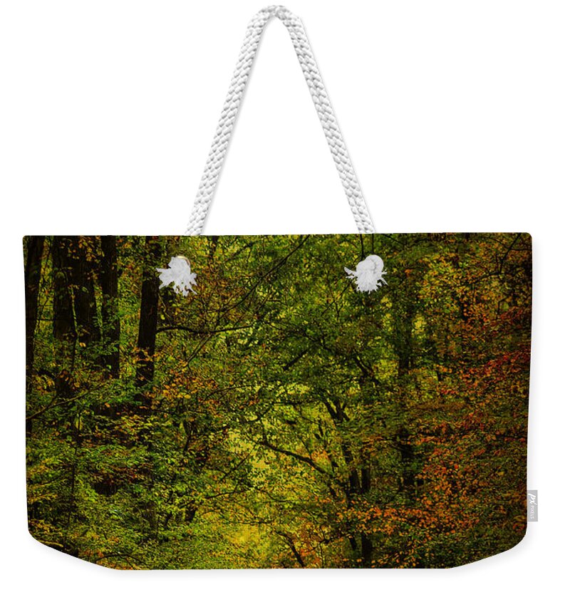 Autumn Weekender Tote Bag featuring the photograph The Road Into Fall by Carol Senske