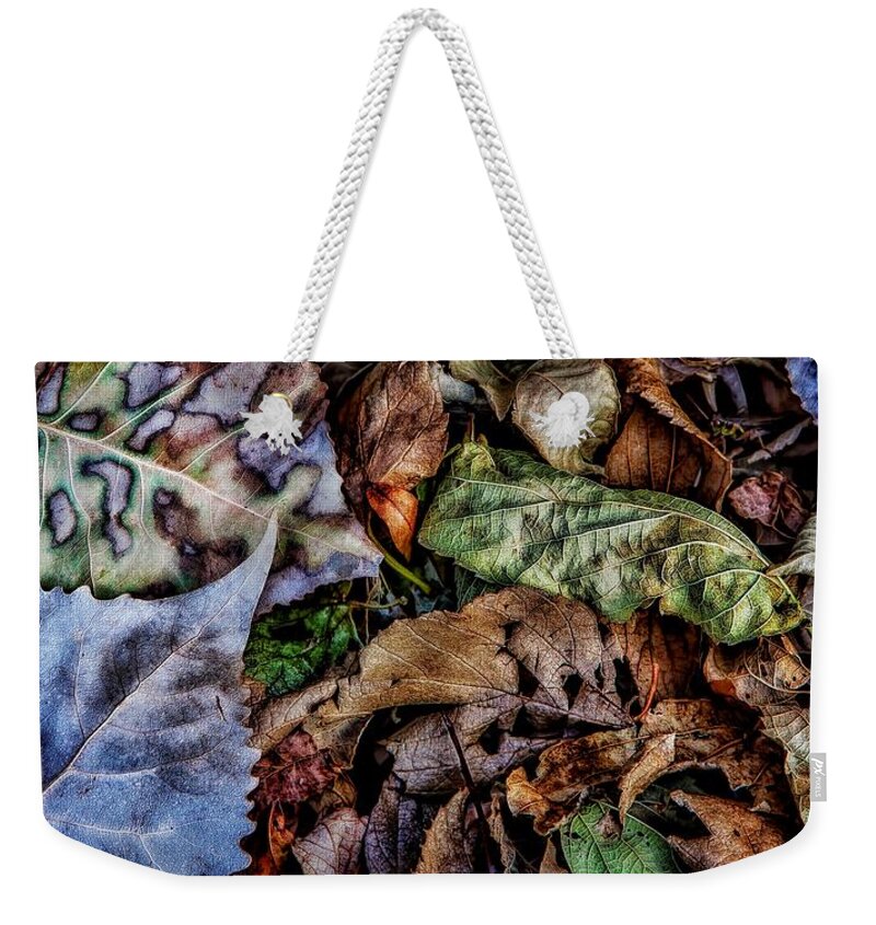 Autumn Weekender Tote Bag featuring the photograph The Season is Gone by Steve Sullivan