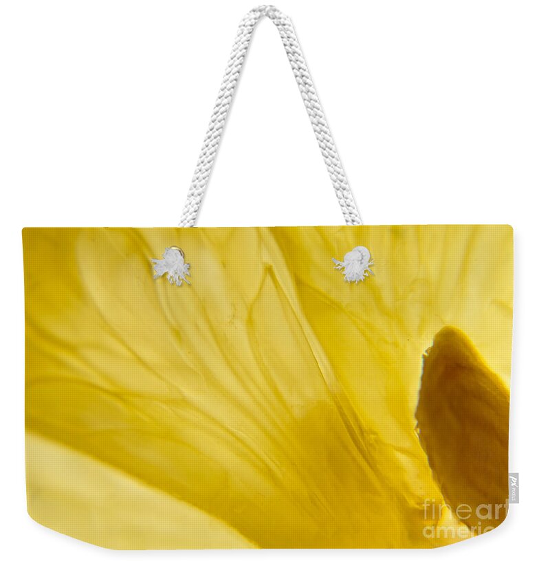 Lemon Weekender Tote Bag featuring the photograph The Seed by Cheryl Baxter