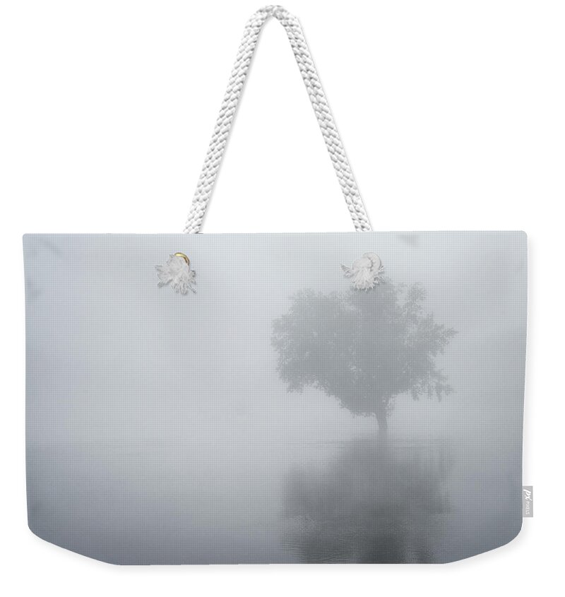 Brandon Weekender Tote Bag featuring the photograph The Silence is Deafening by Sandra Parlow
