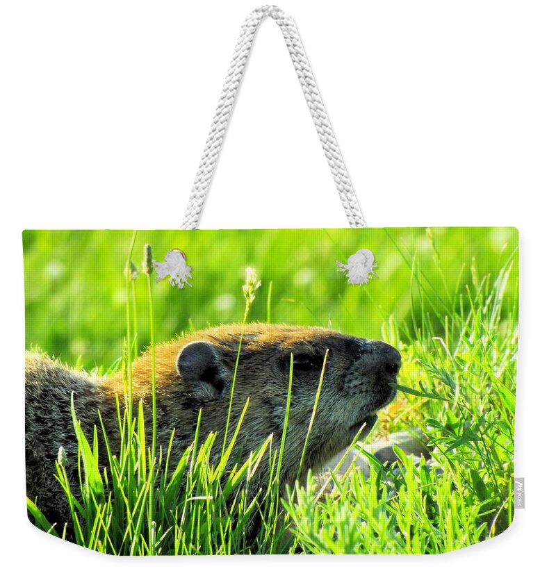 Groundhog Weekender Tote Bag featuring the photograph The Sound Of Silence by Robyn King
