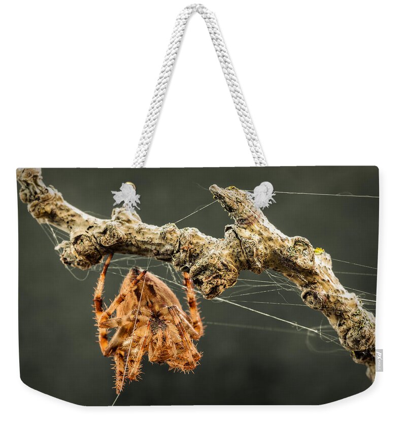 Spider Weekender Tote Bag featuring the photograph The Spectacular Spider II by Marco Oliveira