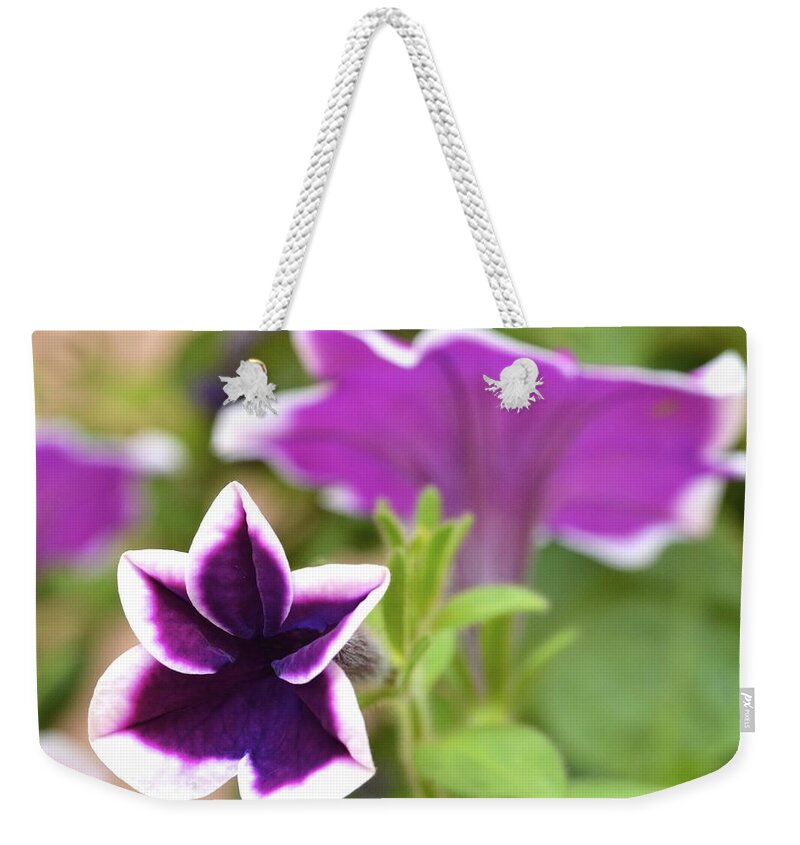 Petunia Weekender Tote Bag featuring the photograph The Star by Corinne Rhode