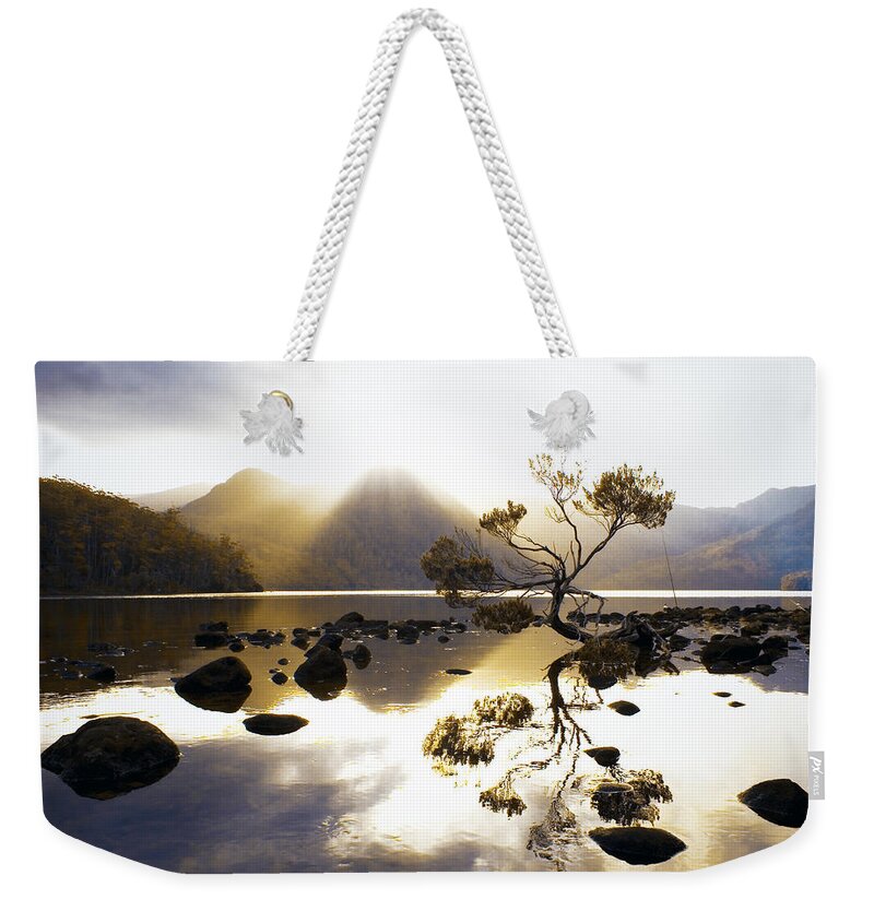 Lake Weekender Tote Bag featuring the photograph Tea Tree by Anthony Davey
