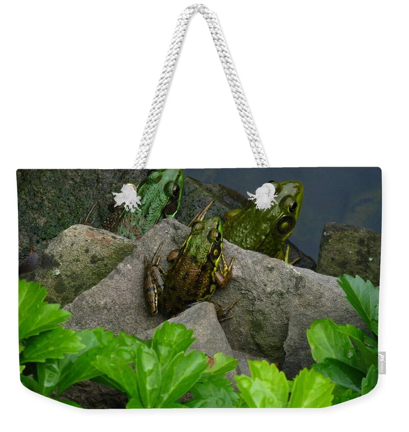 The Three Amigos Weekender Tote Bag featuring the photograph The Three Amigos by Raymond Salani III