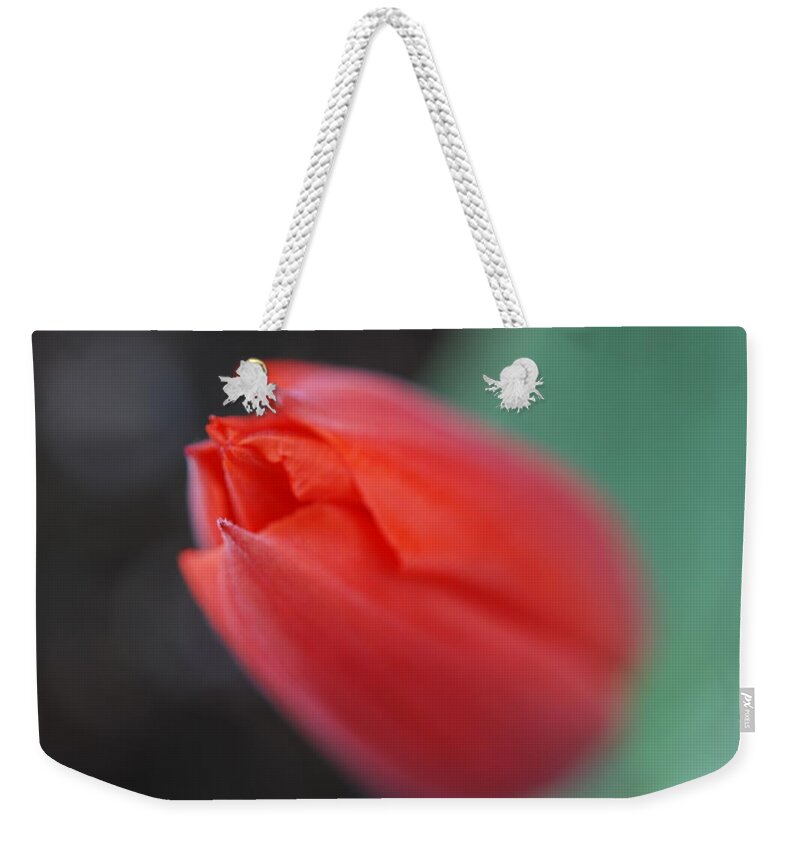 Tulip Weekender Tote Bag featuring the photograph The Tip of the Tulip by Kathy Paynter