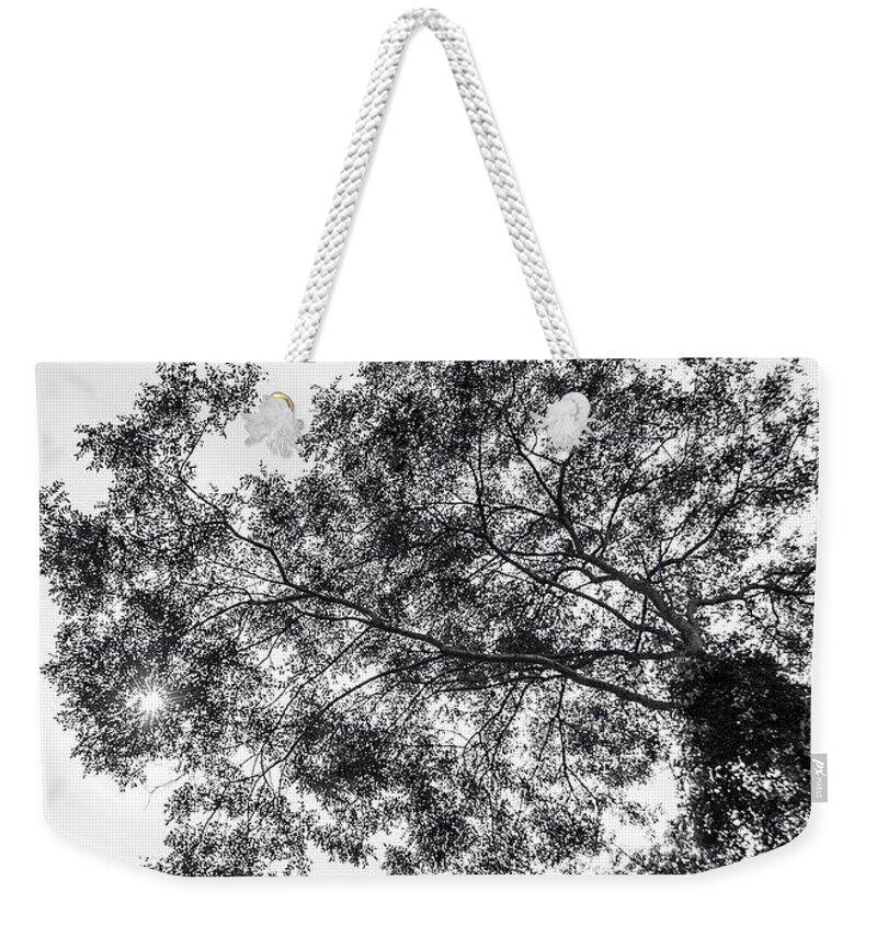 Brazil Weekender Tote Bag featuring the photograph The Tree by Aleck Cartwright