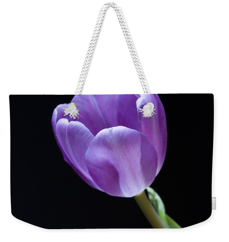 Floral Weekender Tote Bag featuring the photograph The Tulip is a Courtly Queen by Christi Kraft