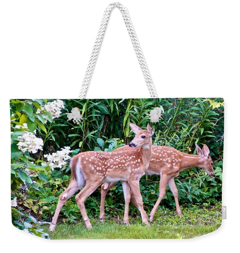 Fawns Weekender Tote Bag featuring the photograph The Twin Fawns on the Move by Kristin Hatt