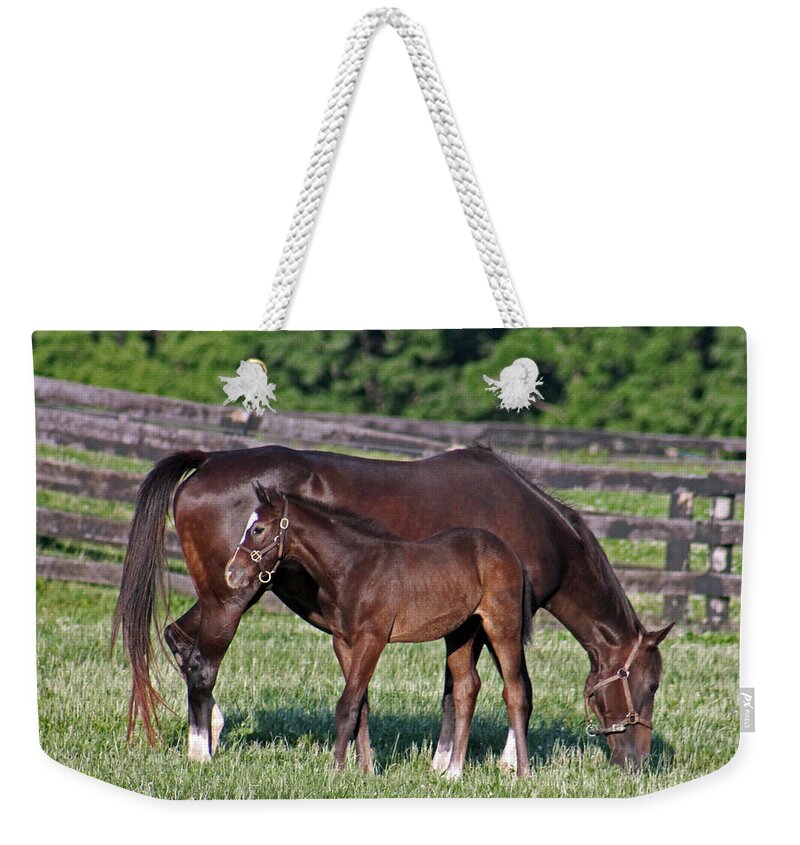 Horse Weekender Tote Bag featuring the photograph The union of one by Lily K