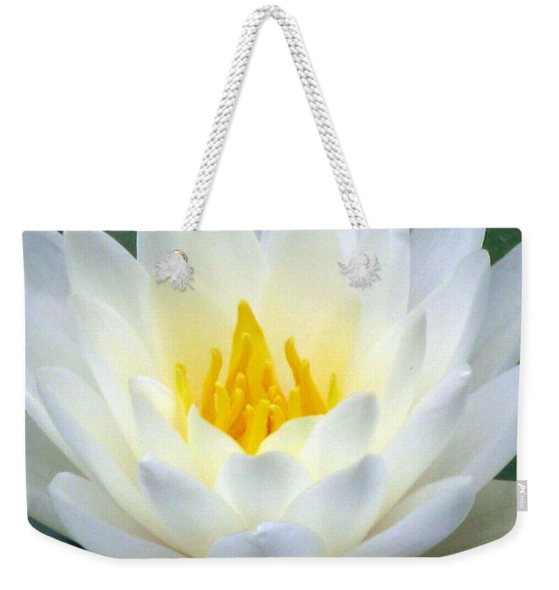 Water Lilies Weekender Tote Bag featuring the photograph The Water Lilies Collection - 05 by Pamela Critchlow