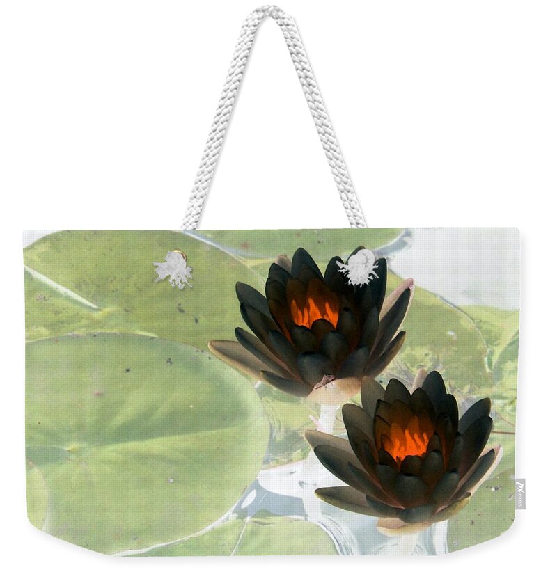 Water Lilies Weekender Tote Bag featuring the photograph The Water Lilies Collection - PhotoPower 1039 by Pamela Critchlow
