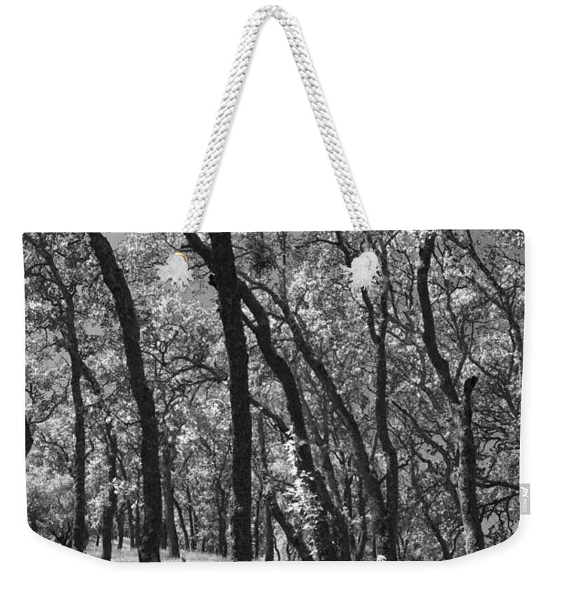 Mt. Diablo State Park Weekender Tote Bag featuring the photograph The Way You Move Me by Laurie Search