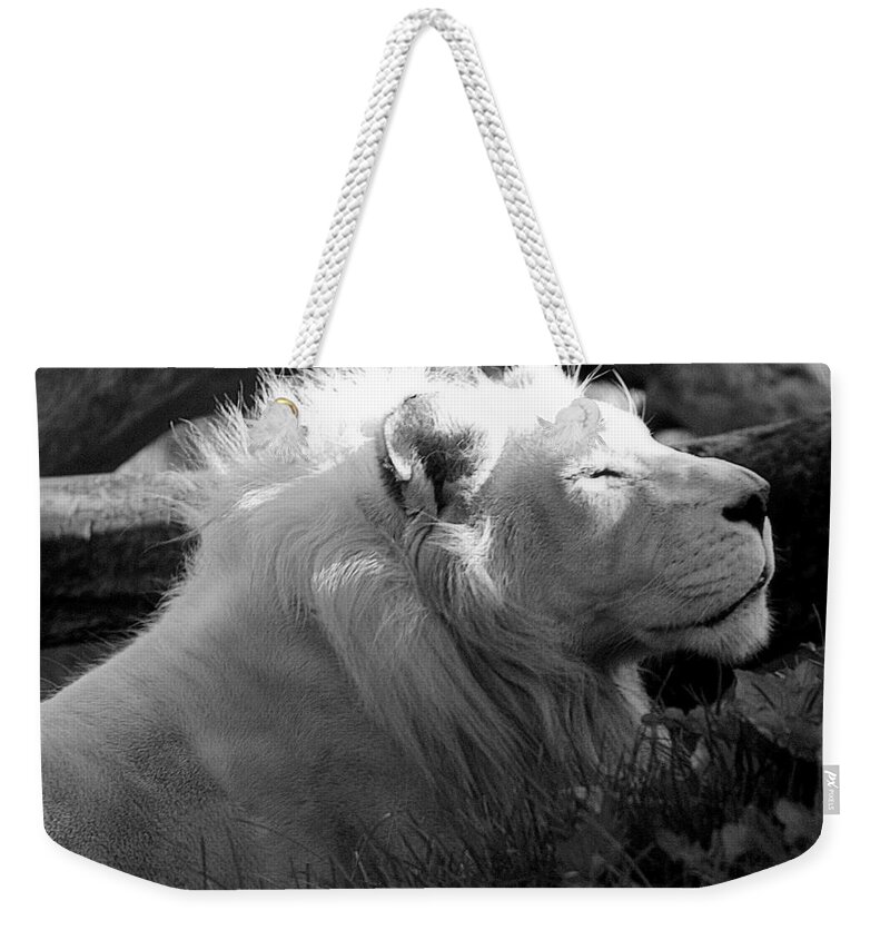Marcia Lee Jones Weekender Tote Bag featuring the photograph The White King by Marcia Lee Jones