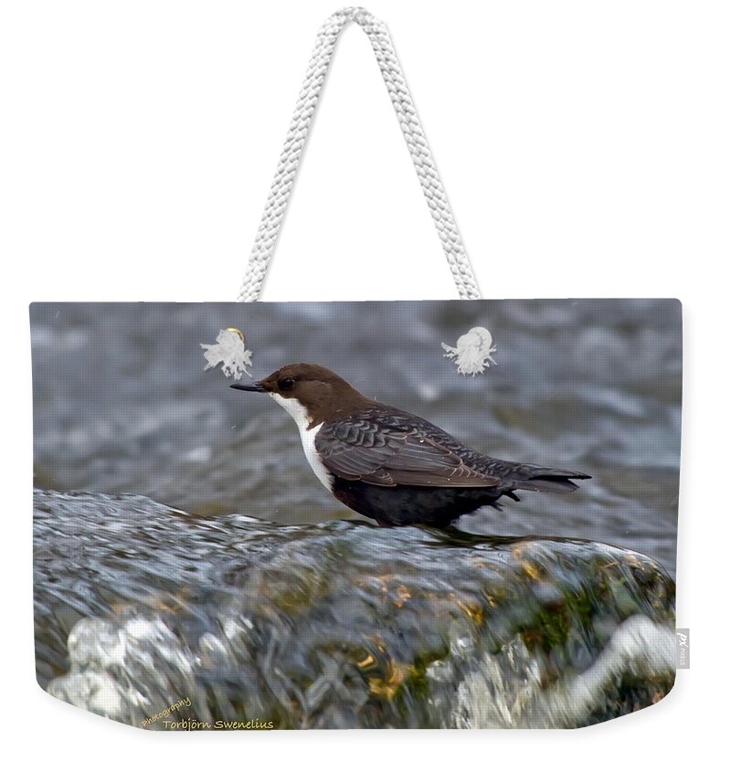 The White-throated Dipper Weekender Tote Bag featuring the photograph The White-throated Dipper by Torbjorn Swenelius