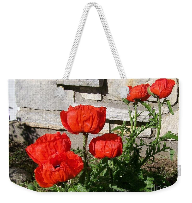 Poppies Weekender Tote Bag featuring the photograph The whole litter.... by Jackie Mueller-Jones