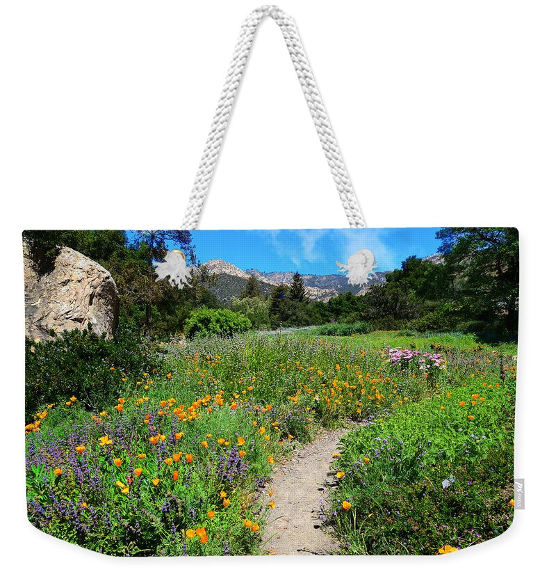 Spring Weekender Tote Bag featuring the photograph The Wonders of Spring by Lynn Bauer