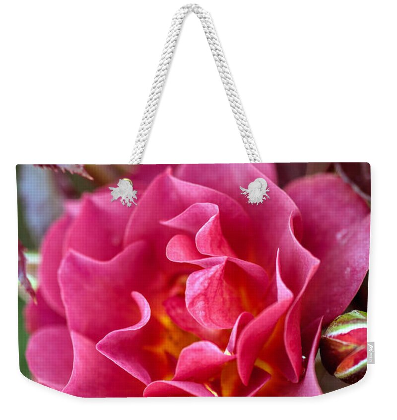 Bumble Bee Weekender Tote Bag featuring the photograph Think Pink by Sennie Pierson