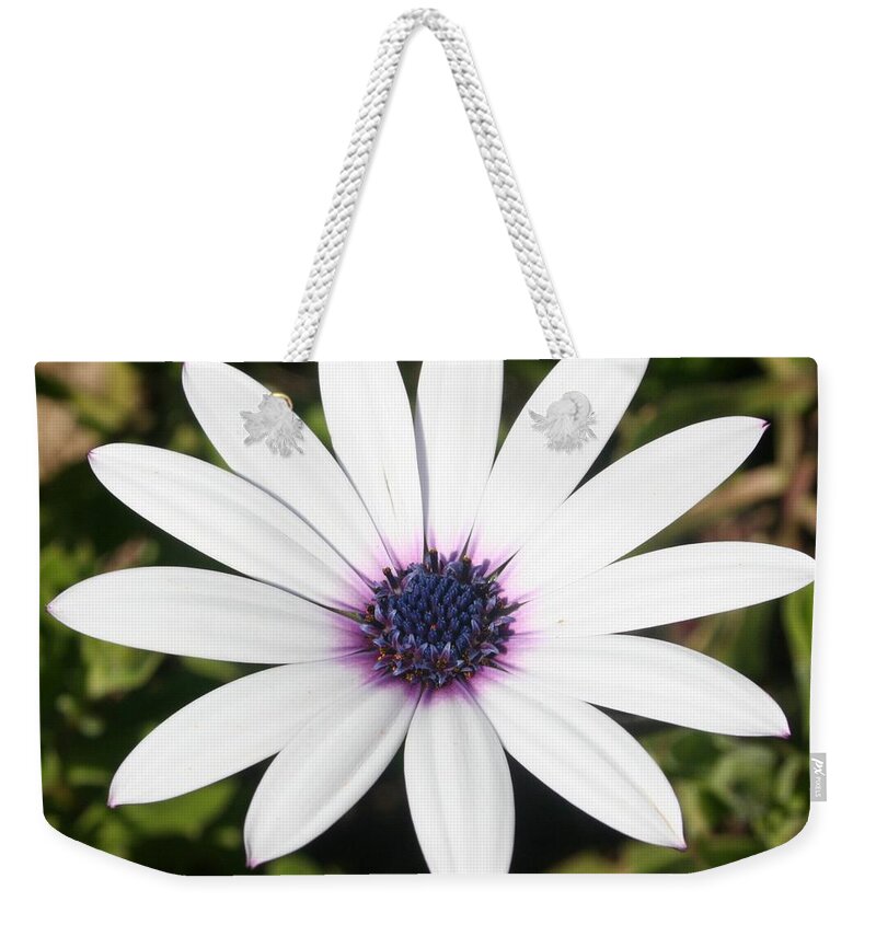 Gerbera Weekender Tote Bag featuring the photograph Thirteen White Petals by Taiche Acrylic Art