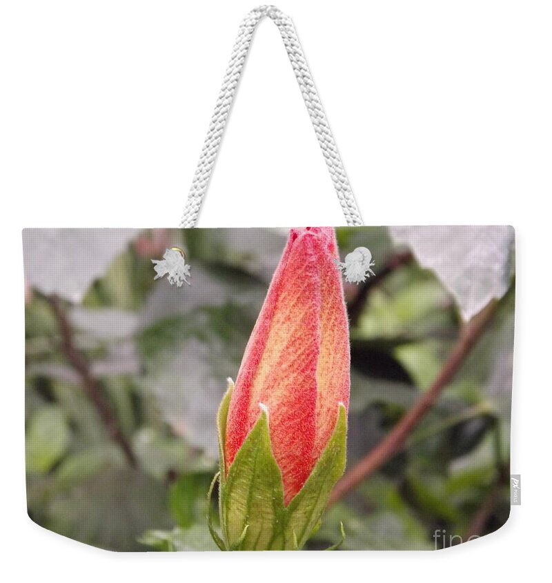 Garden Weekender Tote Bag featuring the photograph This Bud For You by Lingfai Leung