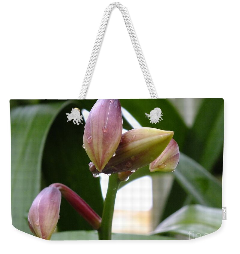 Buds Weekender Tote Bag featuring the photograph This Bud's for You by Yenni Harrison