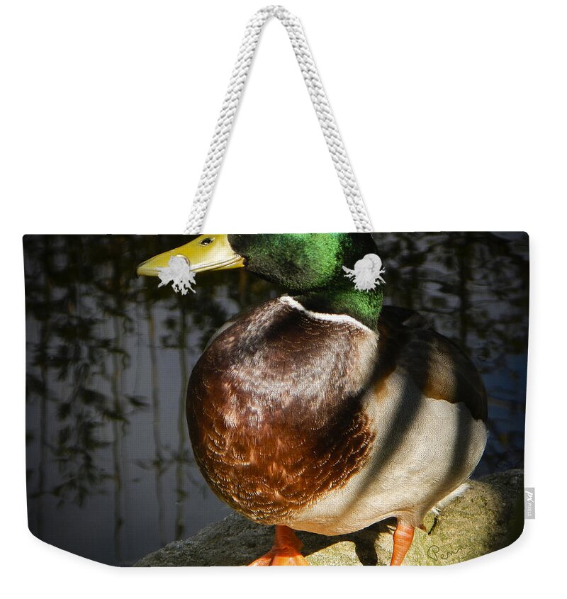  : Penny Lisowski Weekender Tote Bag featuring the photograph This Is My Best Side by Penny Lisowski