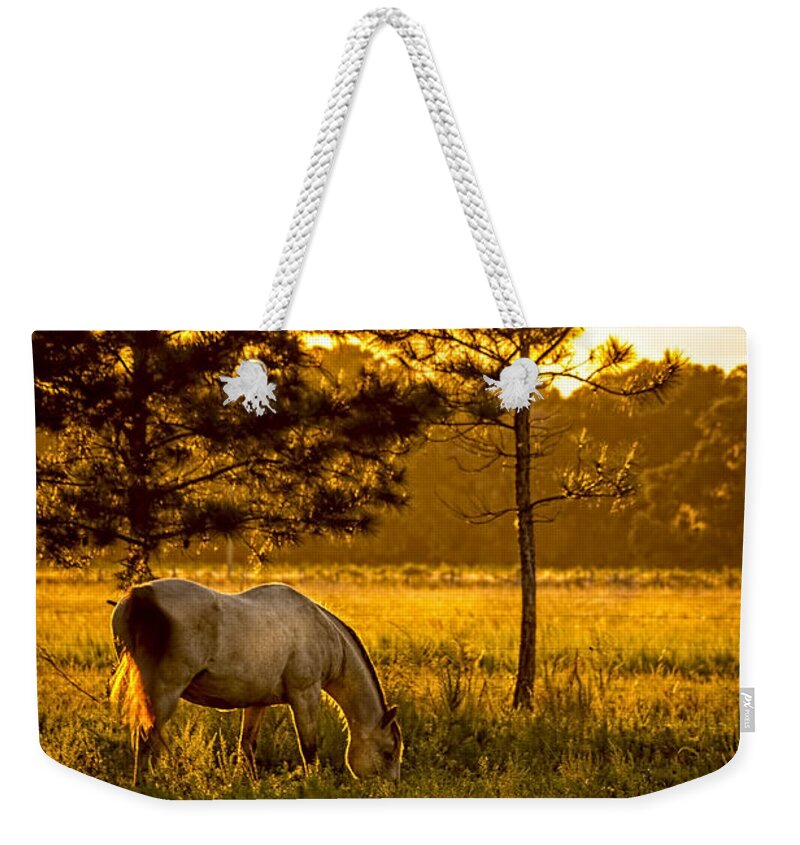 Farmland Weekender Tote Bag featuring the photograph This Old Friend by Marvin Spates
