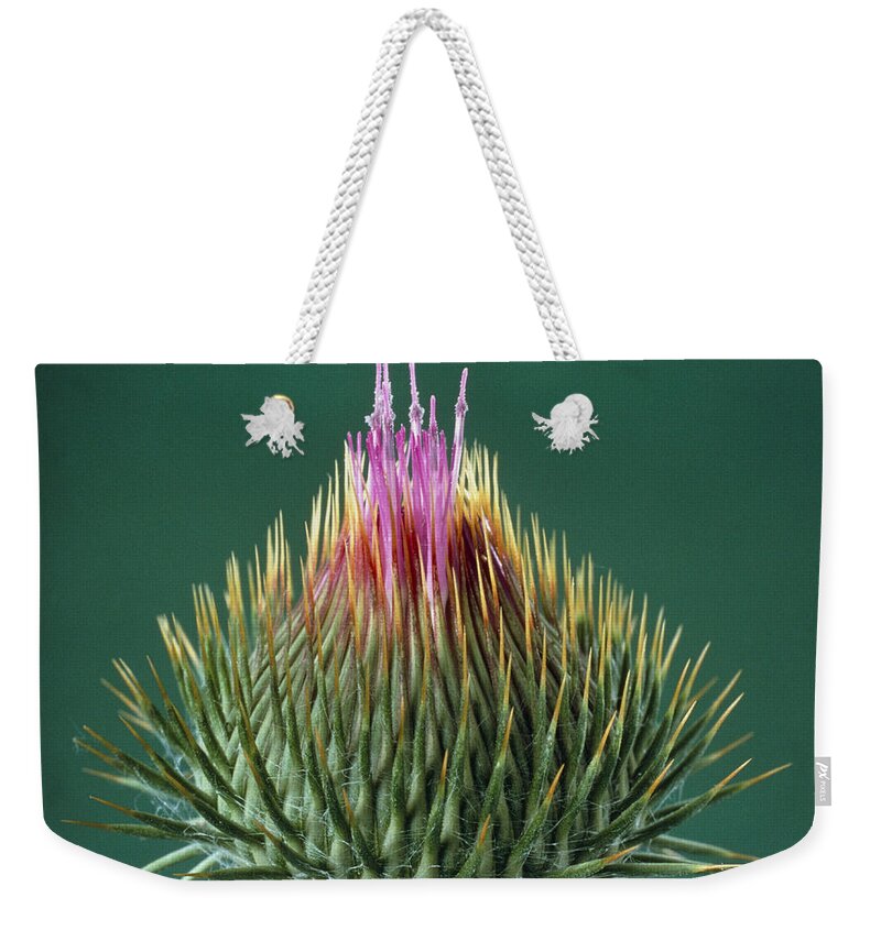 Angiosperm Weekender Tote Bag featuring the photograph Thistle Bud by Perennou Nuridsany