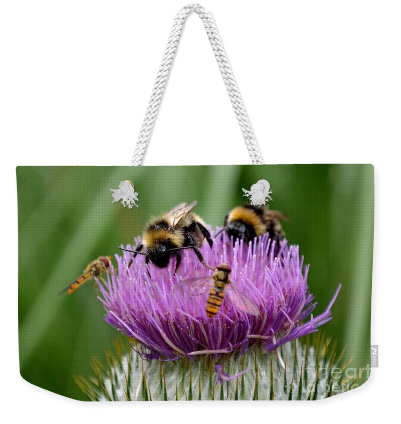 Thistle Weekender Tote Bag featuring the photograph Thistle Wars by Scott Lyons