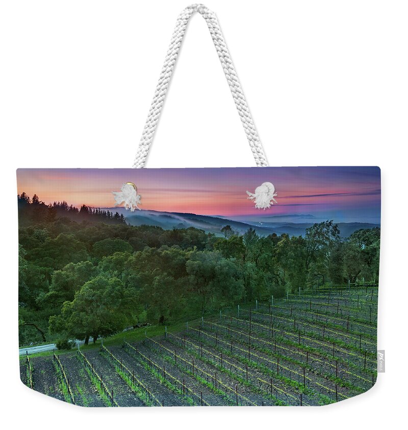Scenics Weekender Tote Bag featuring the photograph Thomas Fog-erty by Aaron Meyers