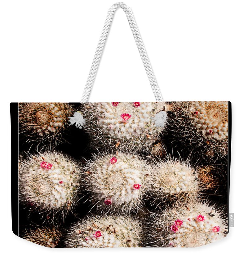 Valentine Weekender Tote Bag featuring the photograph Thorny Valentine by Weston Westmoreland