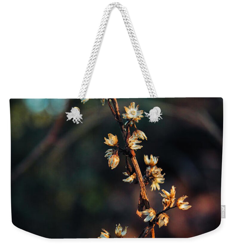 Nature Weekender Tote Bag featuring the photograph Thread of Hope by Jessica Brawley