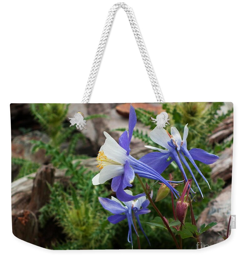 Columbine Weekender Tote Bag featuring the photograph Three Columbine by Bon and Jim Fillpot
